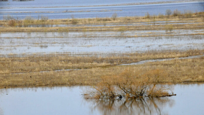 photo_2023-04-10_15-07-38