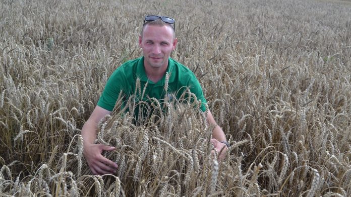 Уборка озимых. Пронск. 31.07.25_4