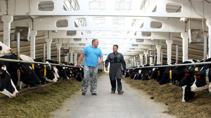 вакансии. минсельхоз.6.01.26