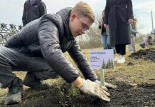 В Тырнове Пронского округа высадили аллею сосен «Во имя памяти и славы»