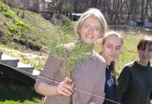 Первокурскицы Рязанского госуниверситета высадили 70 сосен в Пронском монастыре