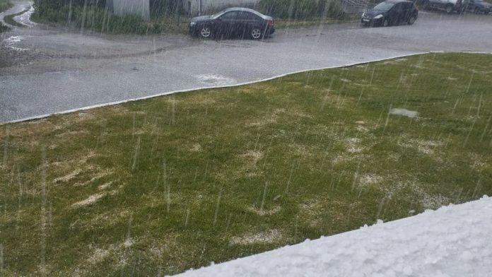 град. Пронск.26.05.26_2