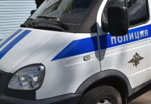 Нетрезвого новомичуринца без прав остановили на чужой «Газели»
