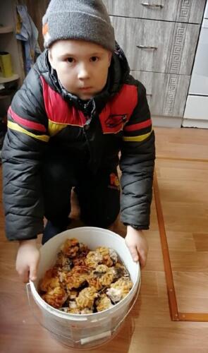 Сморчки1